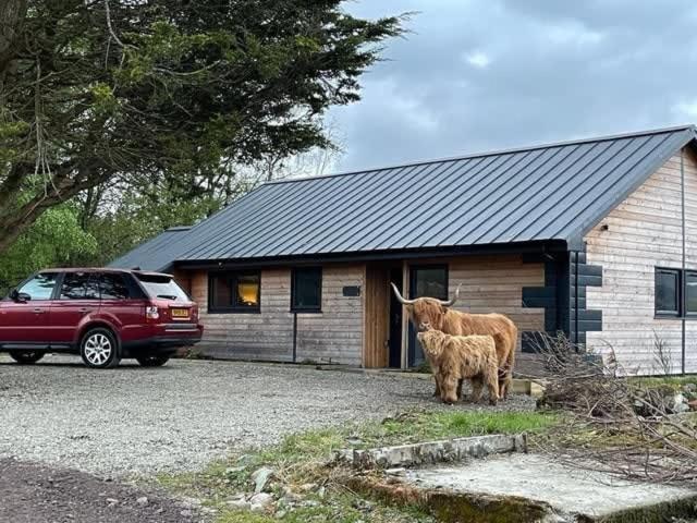 New Build Lodge With Stunning Views Of Loch Awe Hayfield  Dış mekan fotoğraf